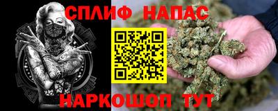 мет Можга