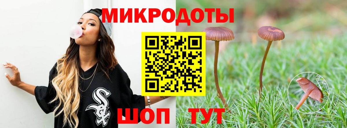 Галлюциногенные грибы мухоморы Добрянка